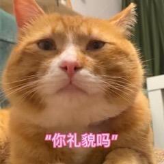 维维-