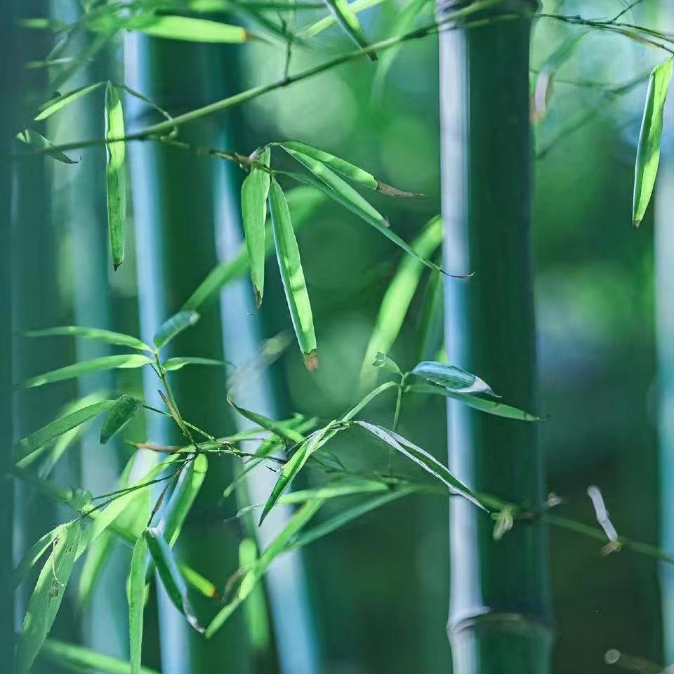 耀一