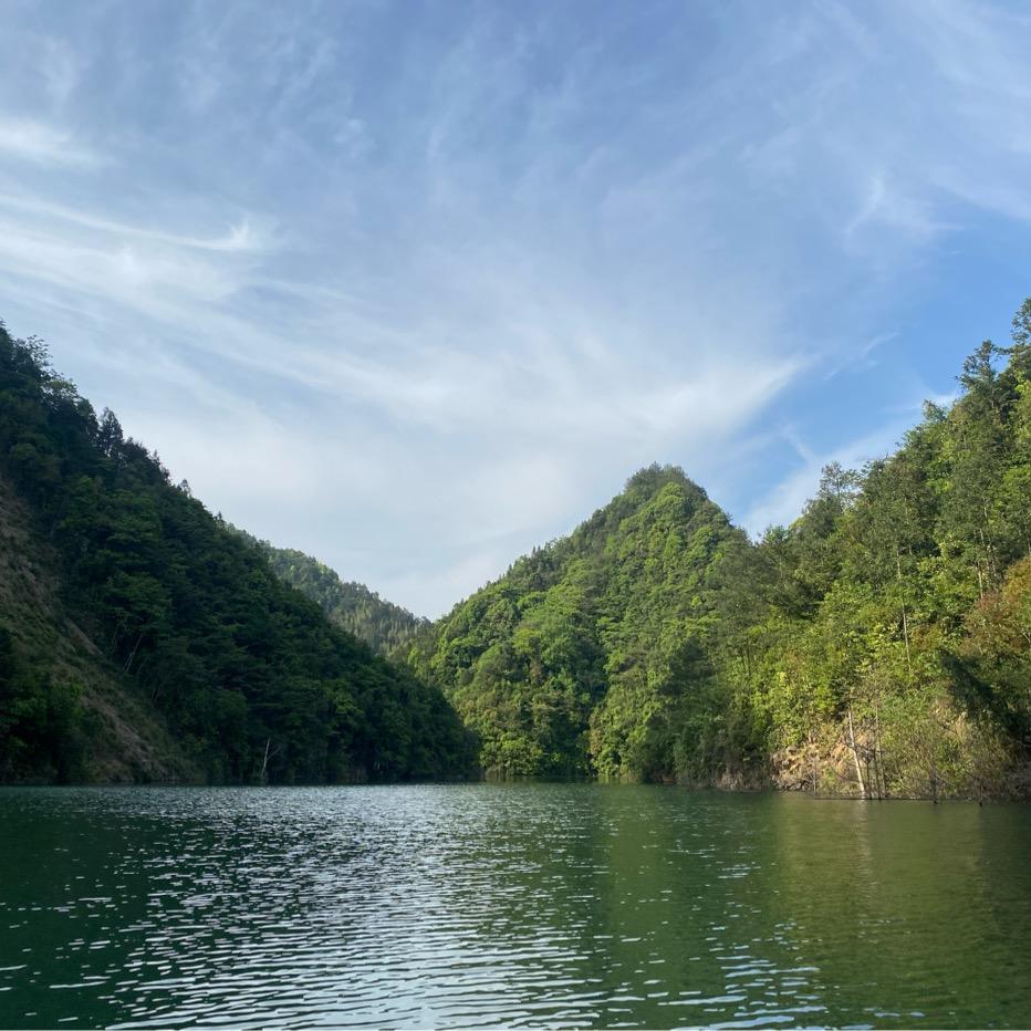 心向暖阳