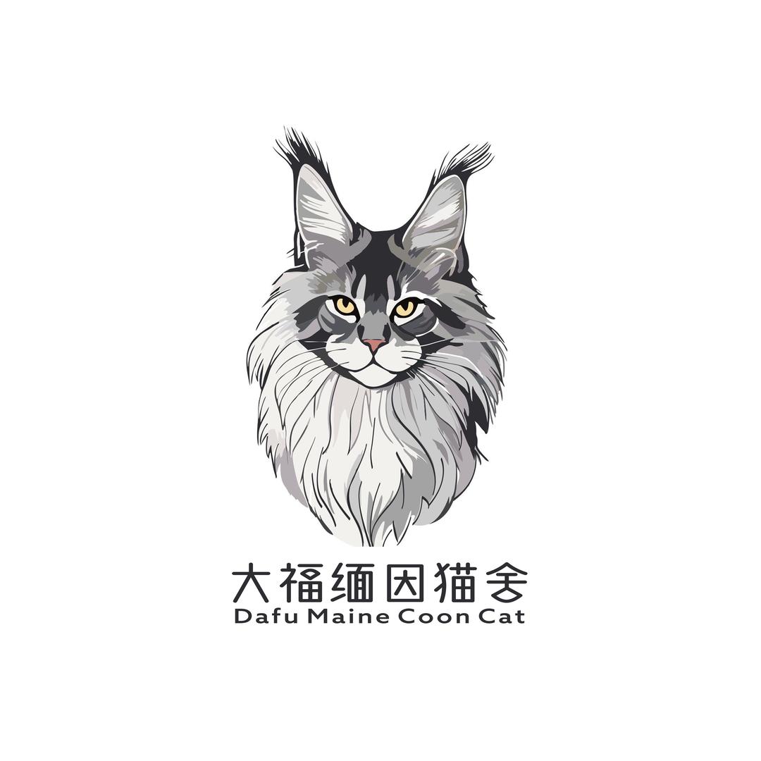 大福缅因猫舍（桐桐）