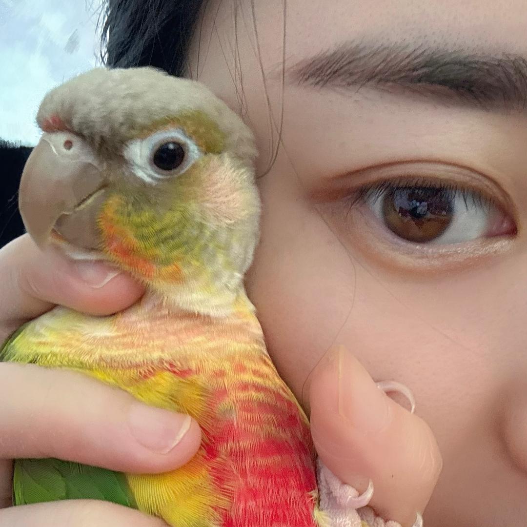 萝莉是个小太阳🌞