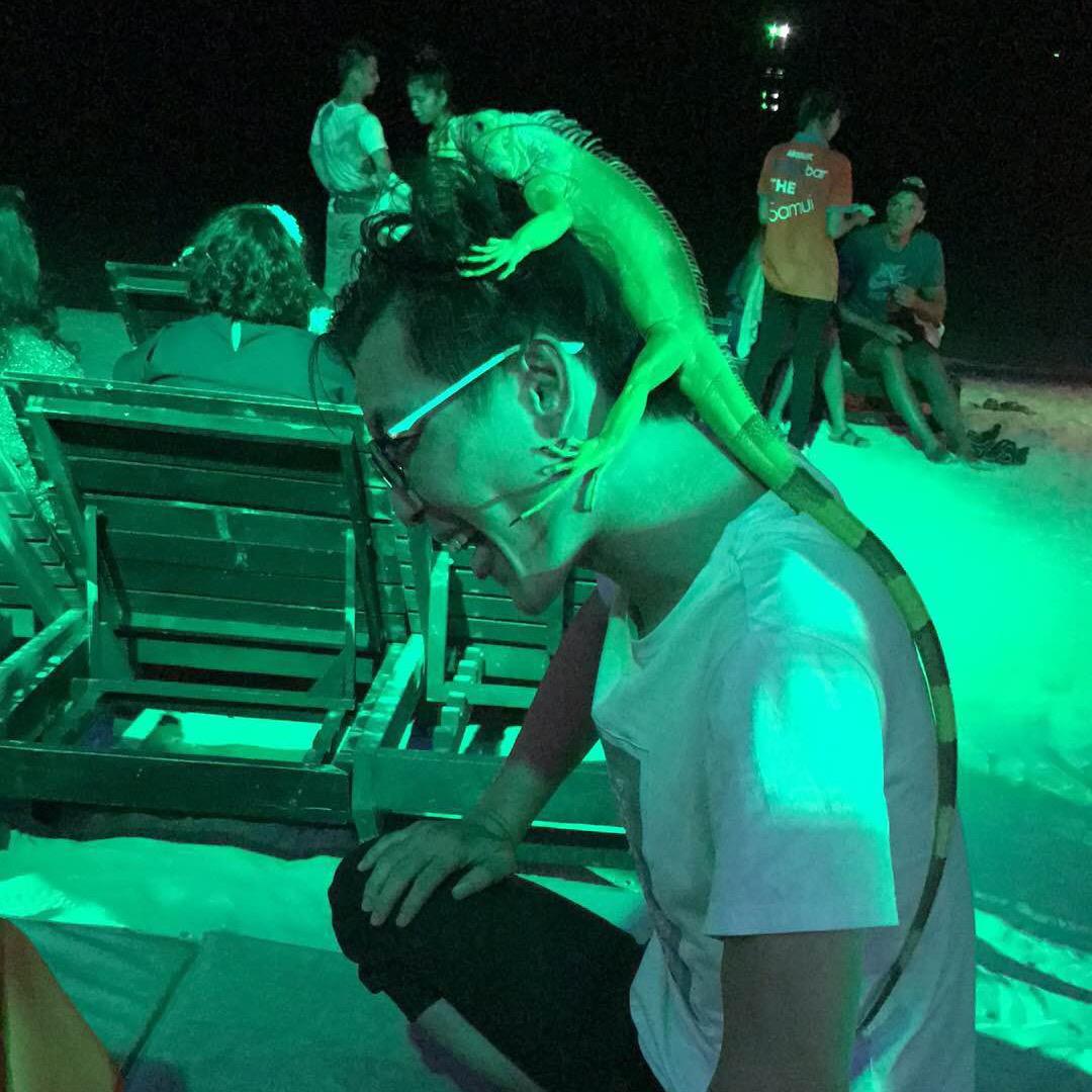 细来.