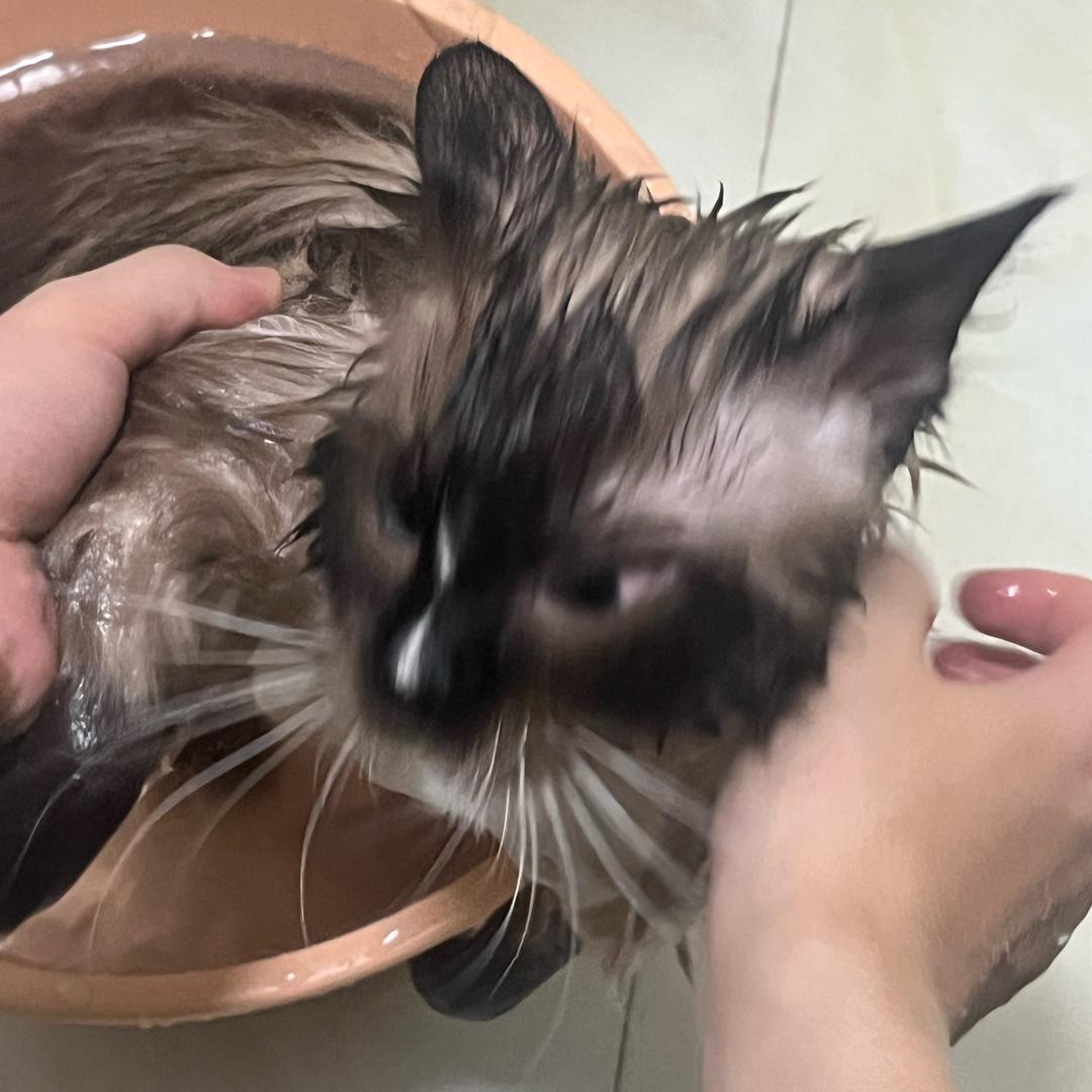 想不到网名