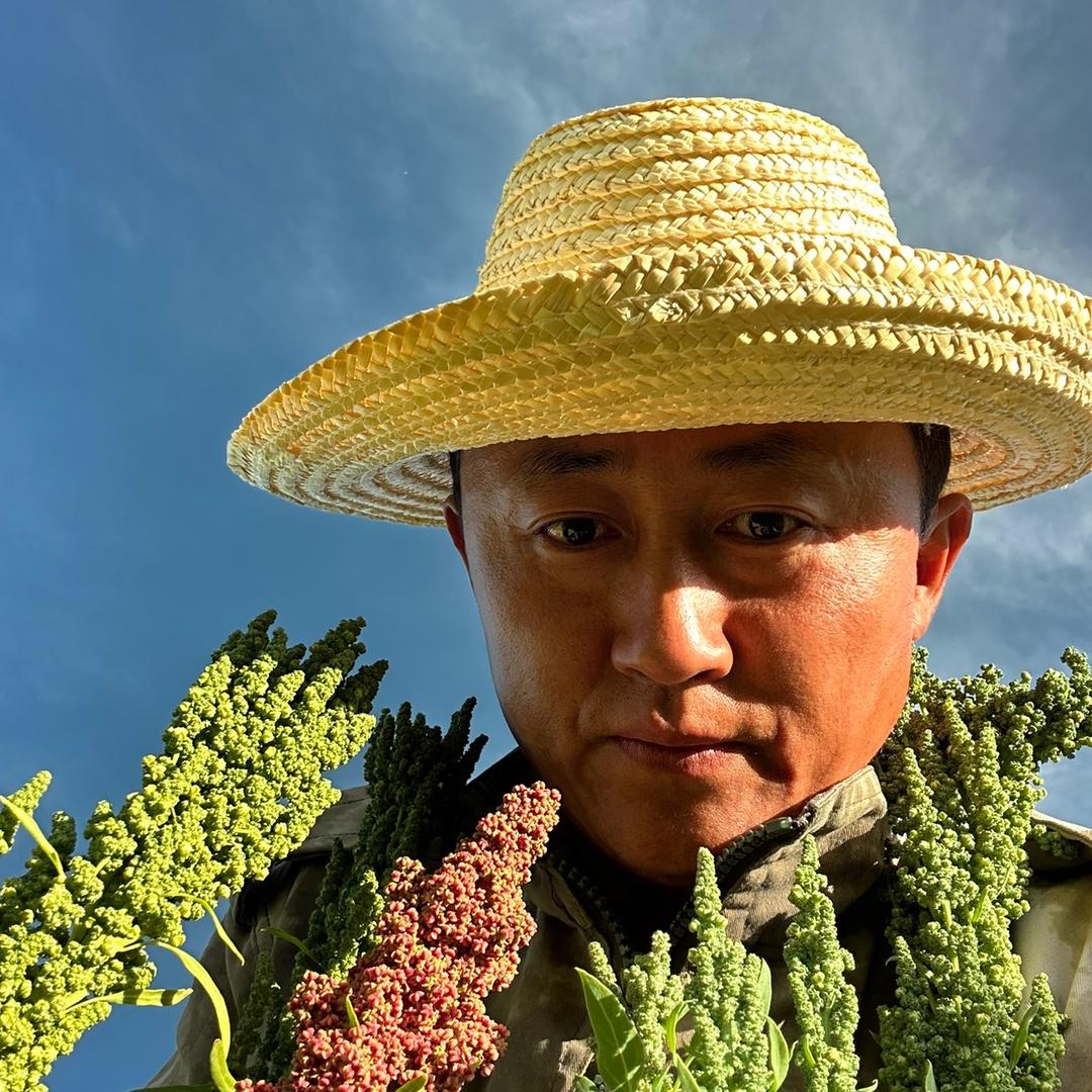 格尔木海西藜湖农场