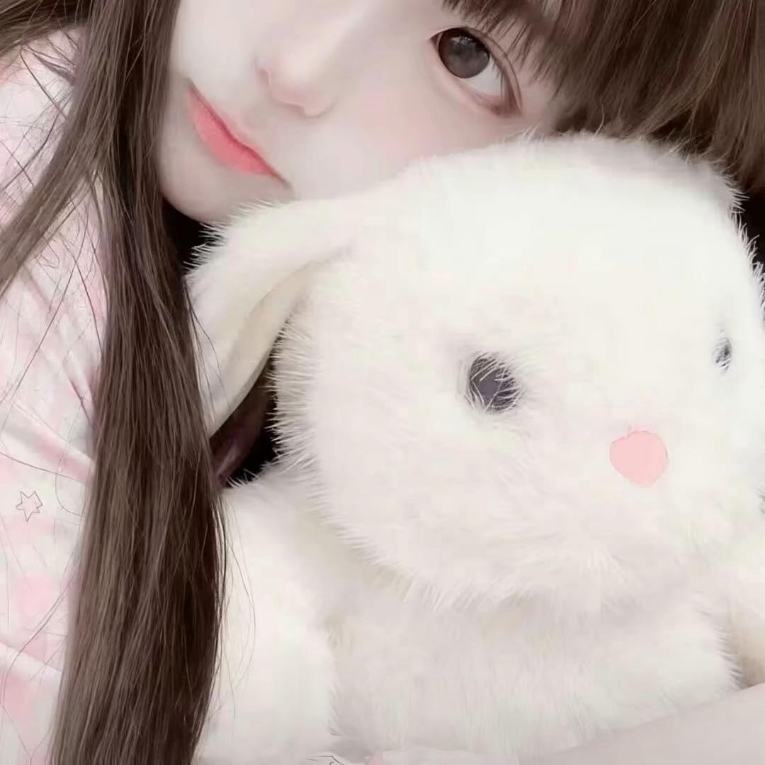 椰子岛