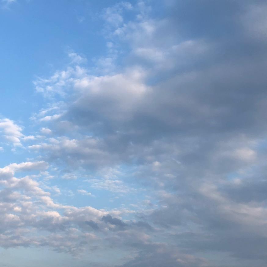 🐰🐰(⁎⁍̴̛ᴗ⁍̴̛⁎)兔子