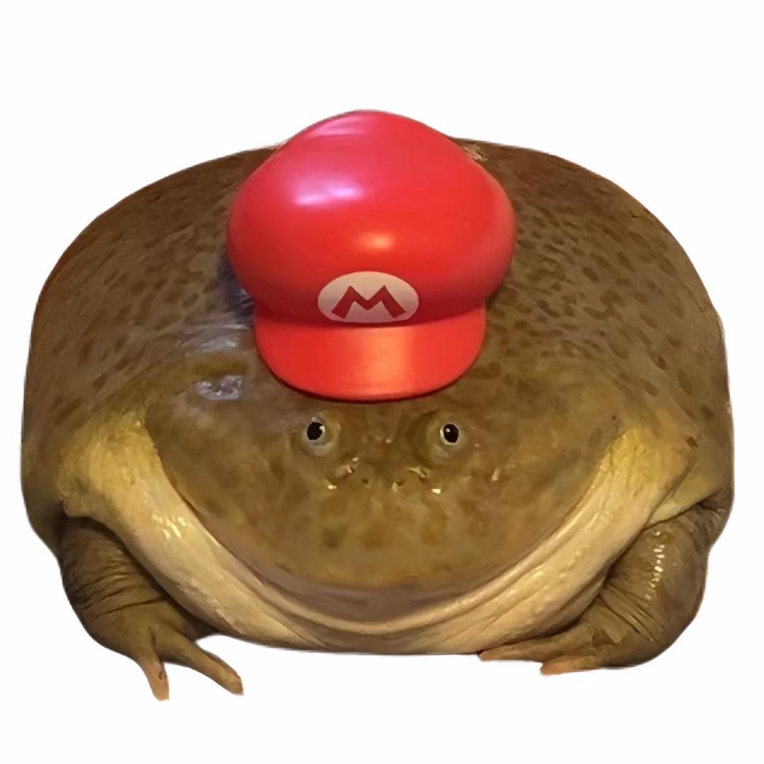 满愿