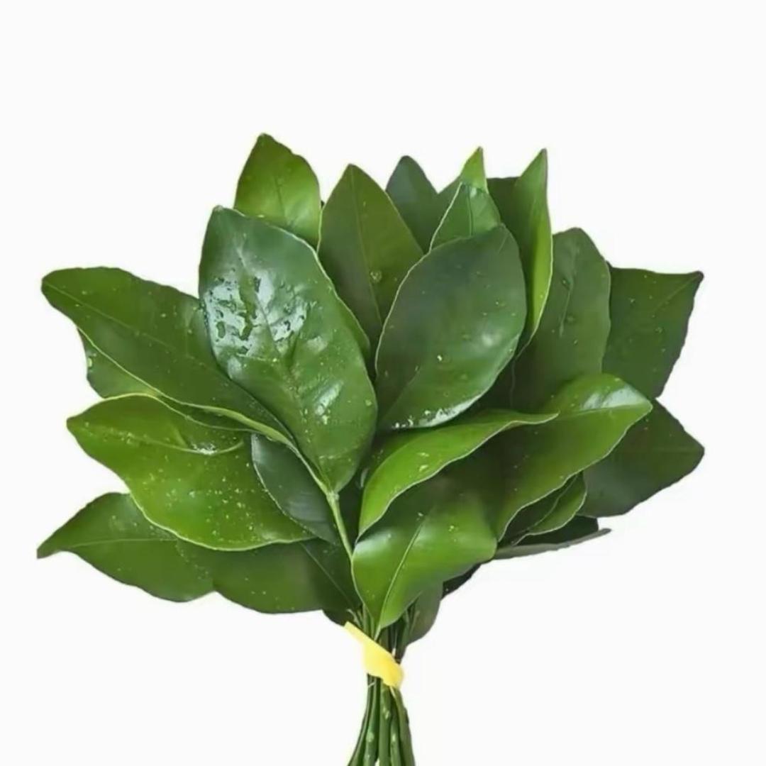 爱点男模的小欣