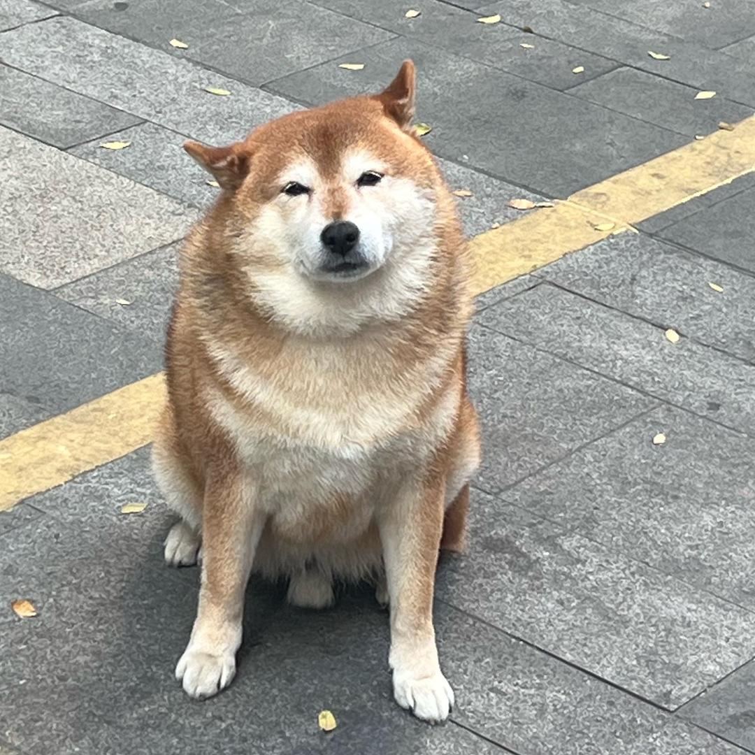 淮於_