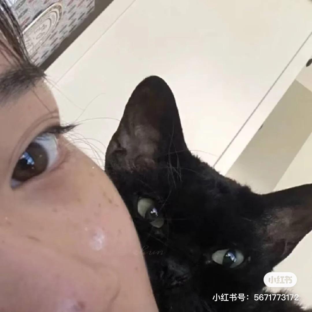 红森屿