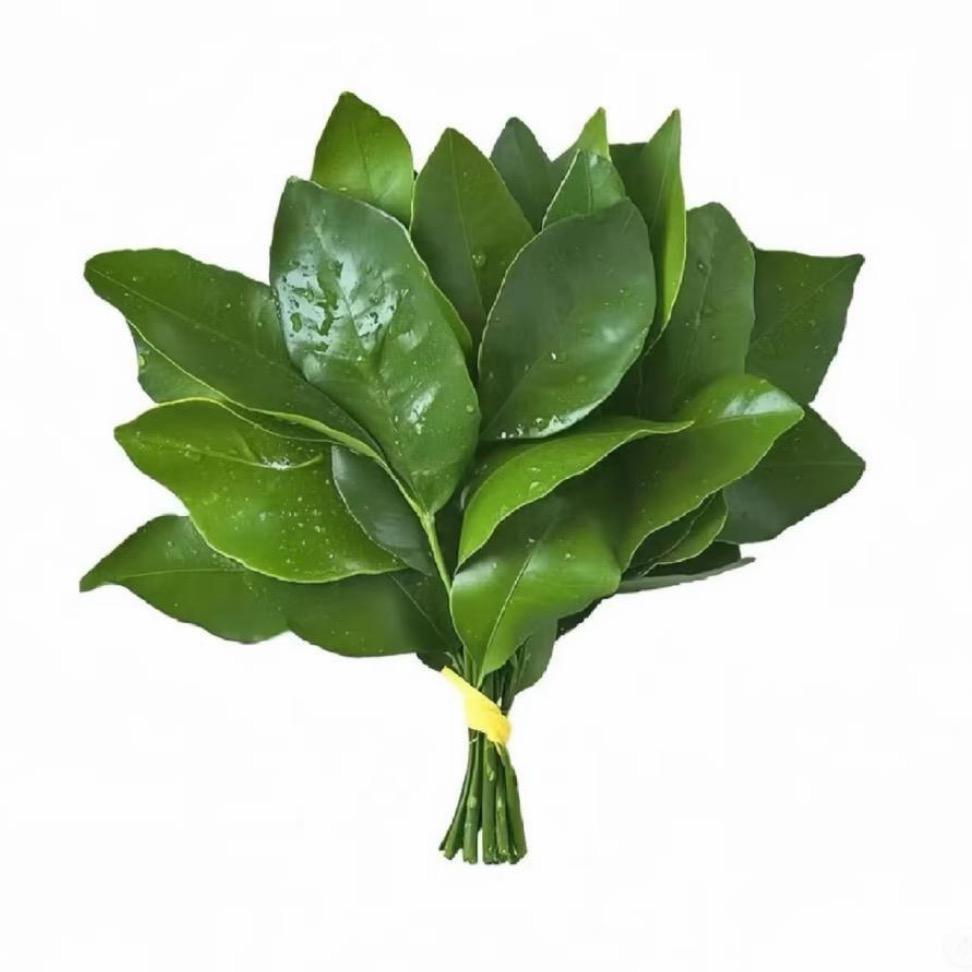 小文