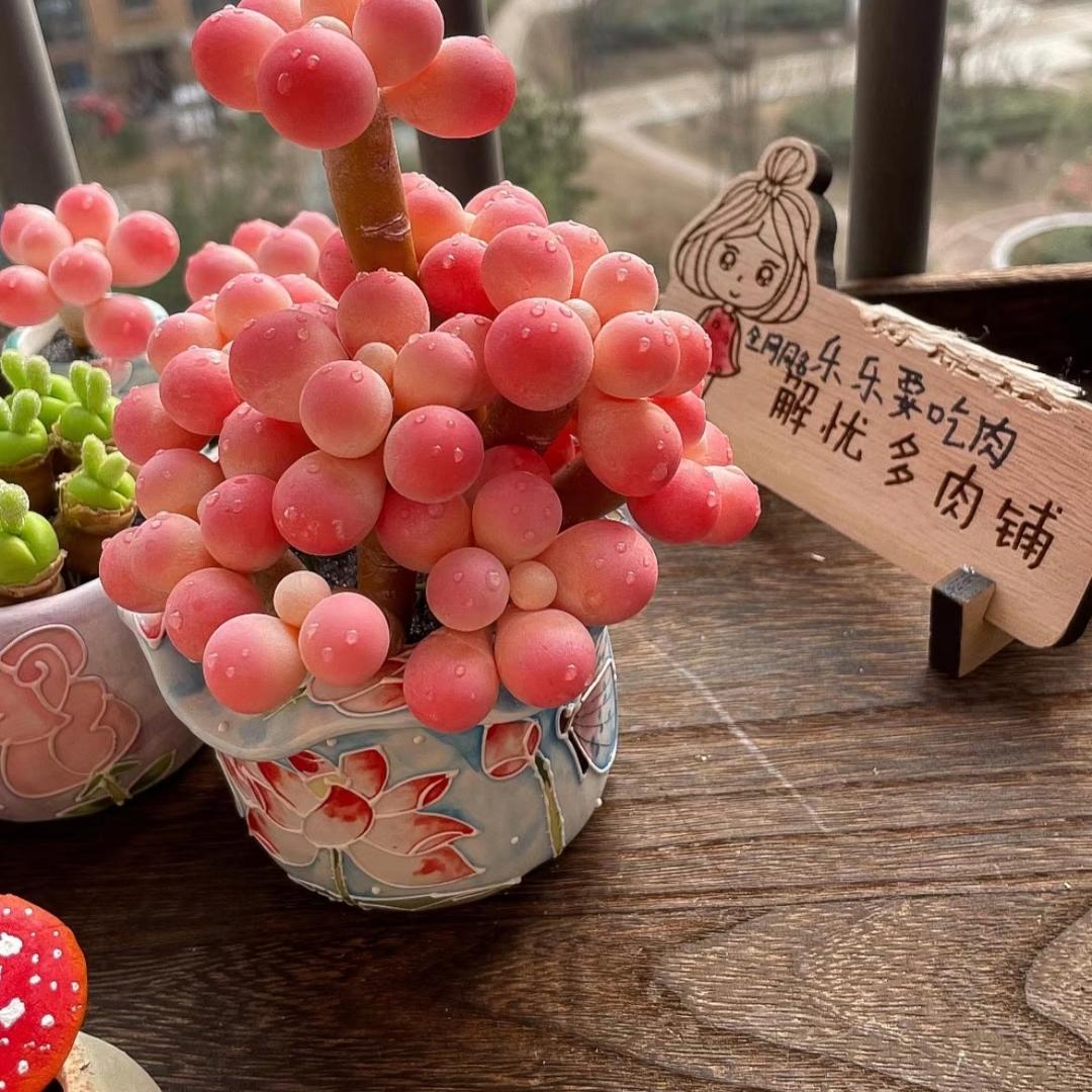 我就是那个平平无奇的“小富婆”🌈🌈