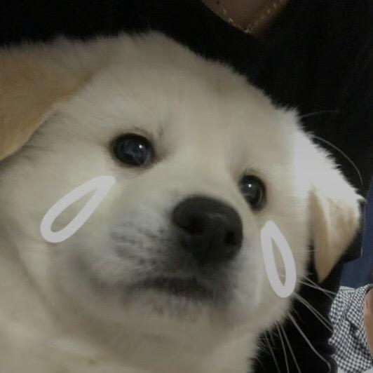 妞妞🥀