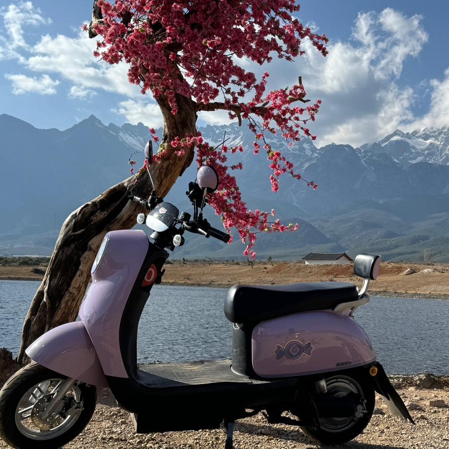 鲲顺租车官方号