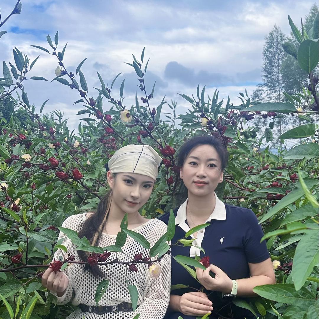 连慧甄选（洛神花专场）