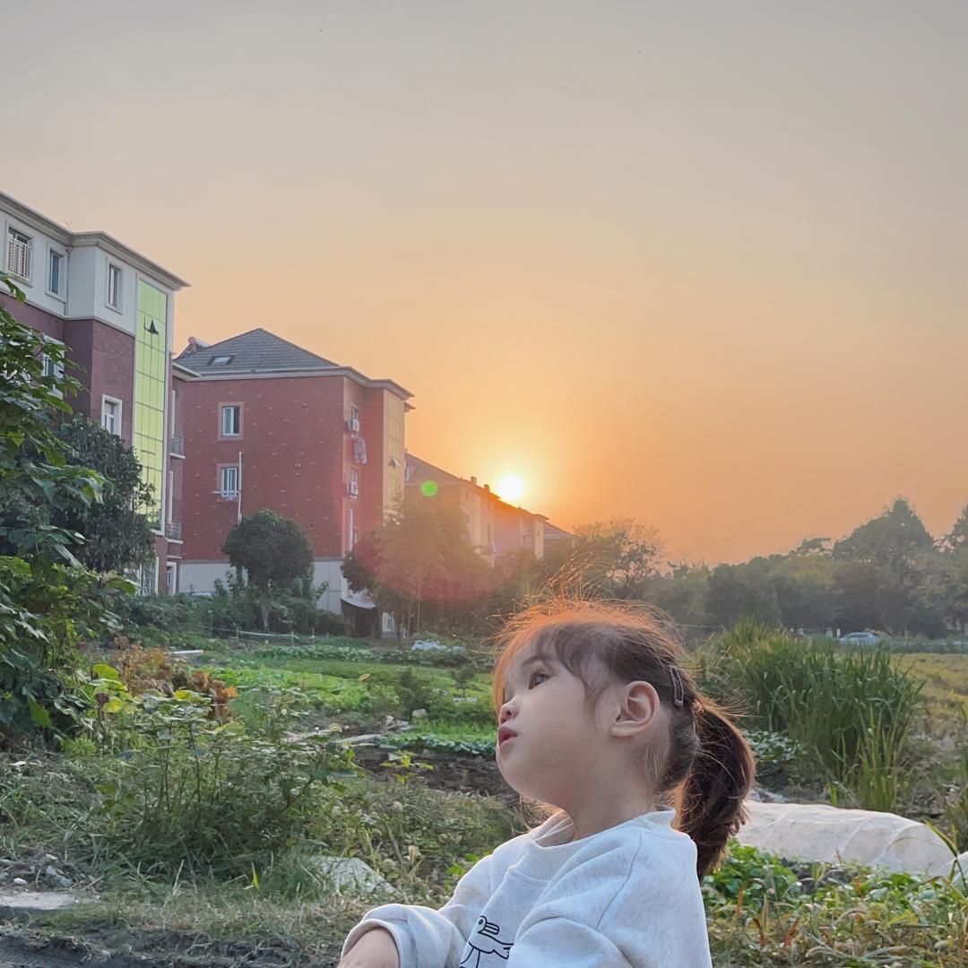 小慌不爱吃香菜