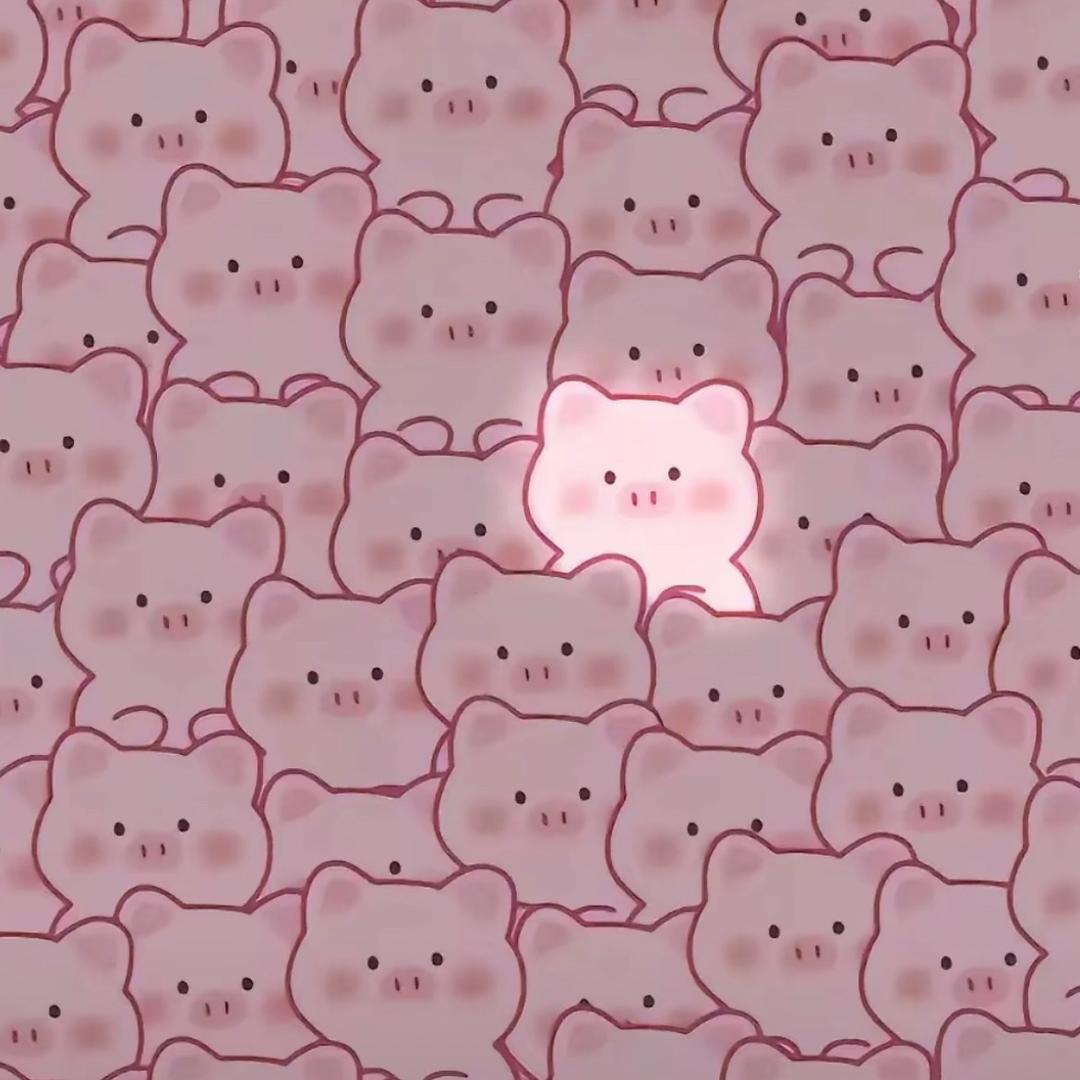 亮闪闪的猪小梅