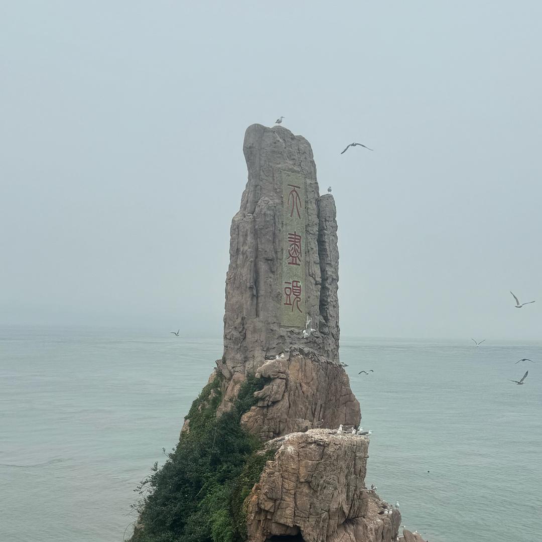 龙哥-读书会