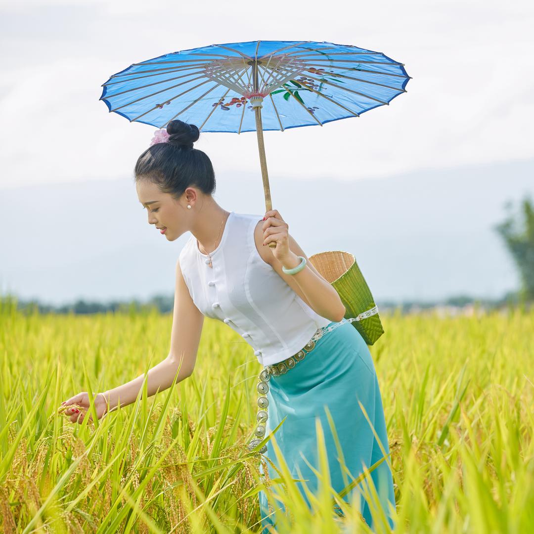 卖芫荽的小孟