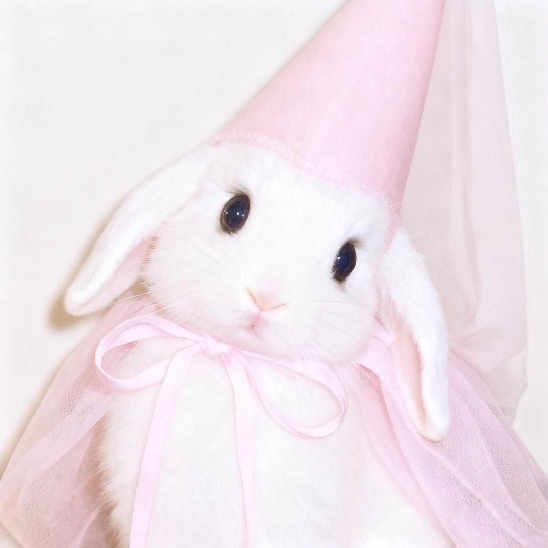 YuKuner喻坤儿🐰