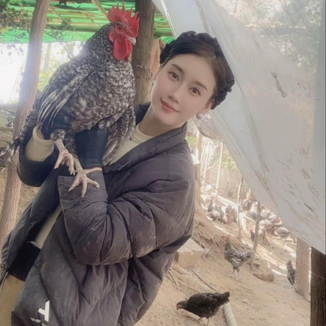 娇娇农业(散养土鸡，生态鸡蛋)