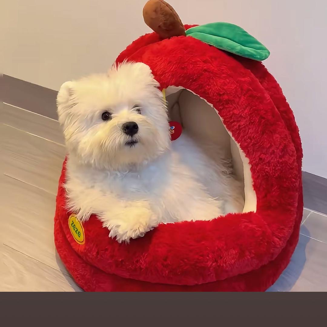 丢丢中意他