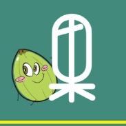 果沐生活（快团）