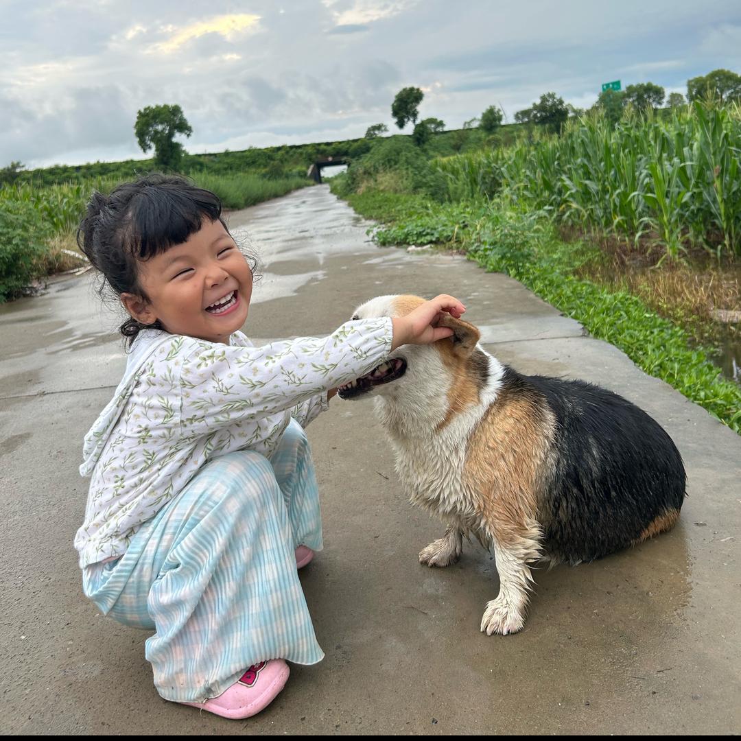 小小杭