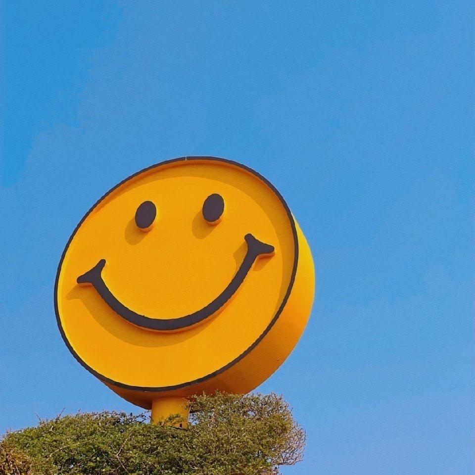 巴黎左岸*╰荼靡花开つ*