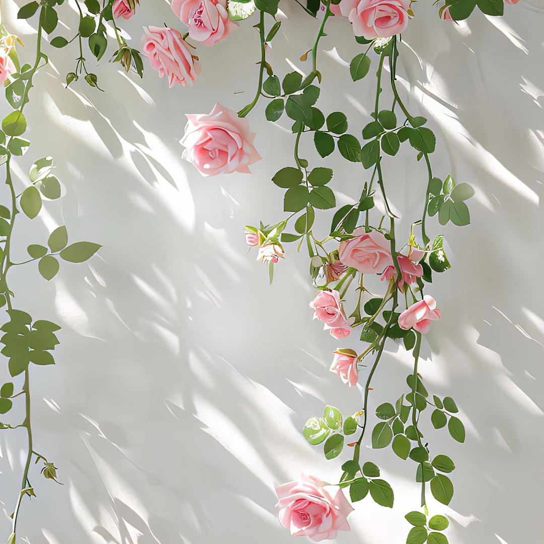 ～ღ淡然一笑࿐