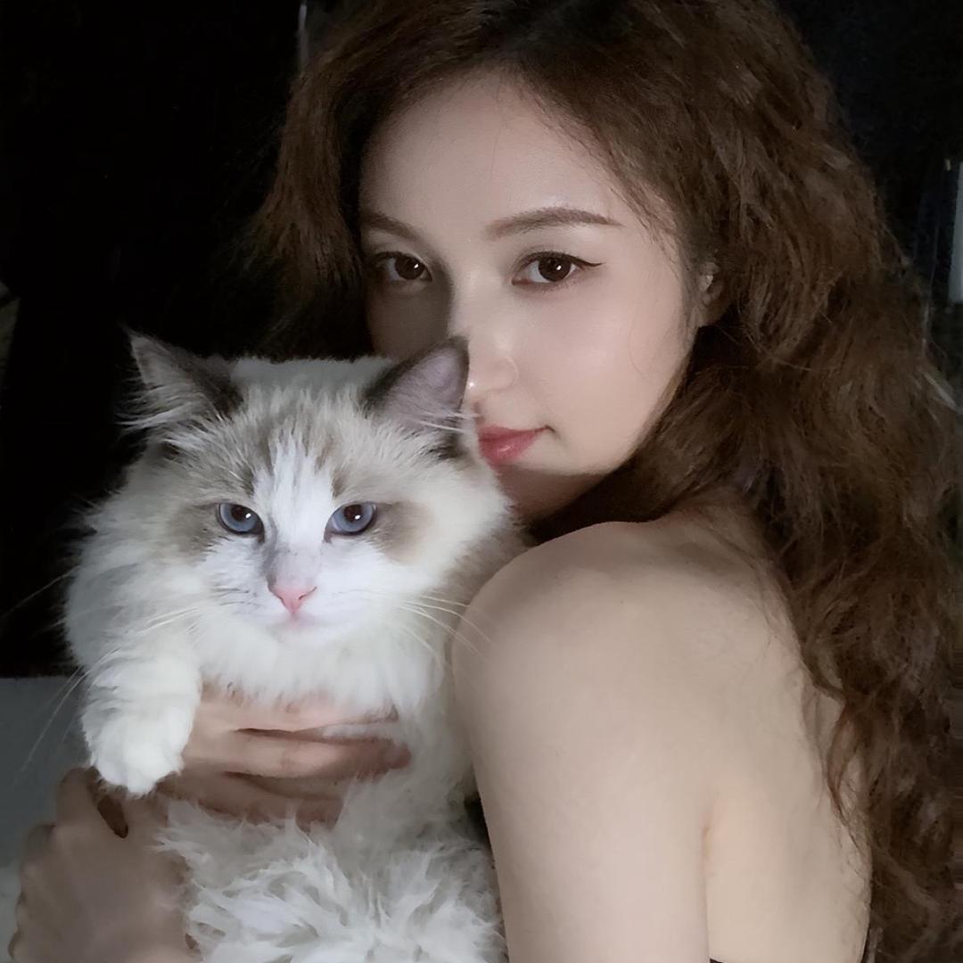 爪爪猫的试衣间