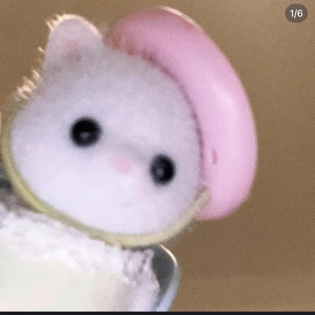 卷小花