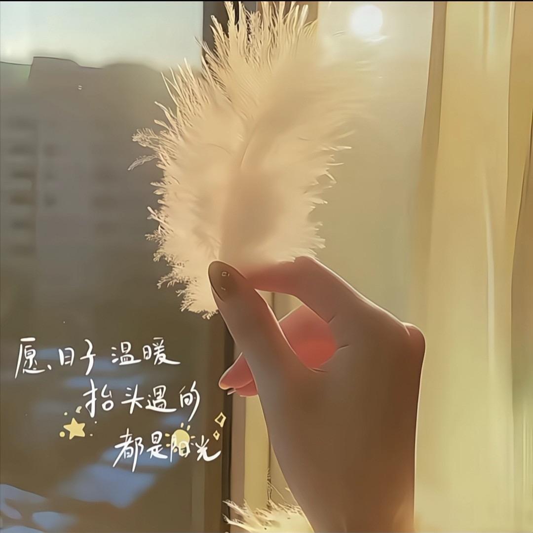໑ღ᭄夏菇凉 🕊꧔ꦿ᭄💞