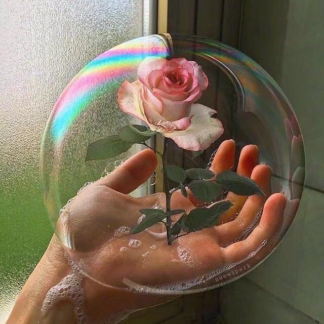 剧迷玲玲