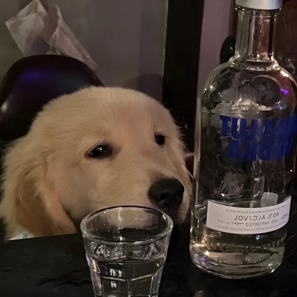 辉辉很坚强