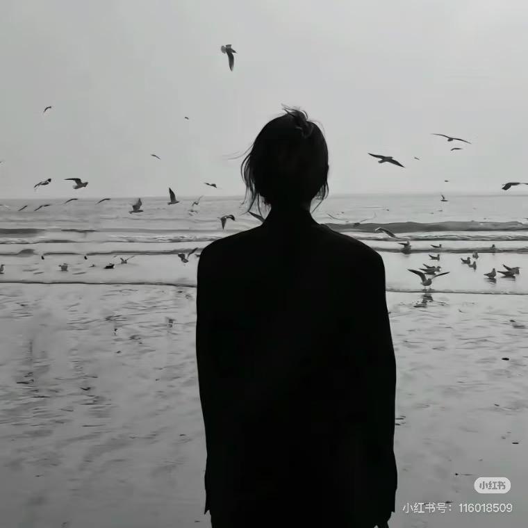 杨杨～