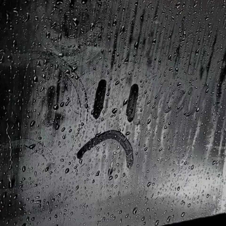 装睡洋葱