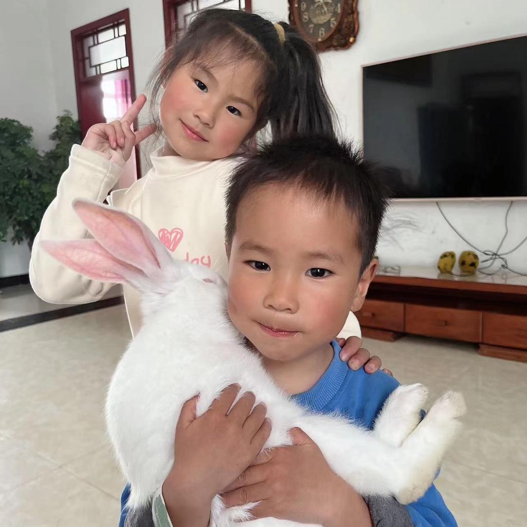 俊俊