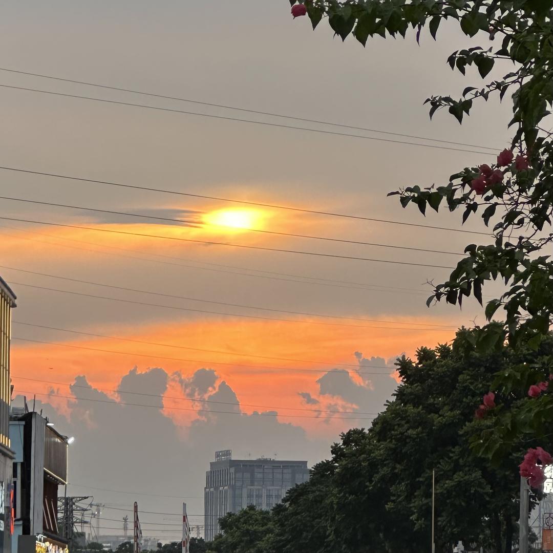 安琪今天吃什么