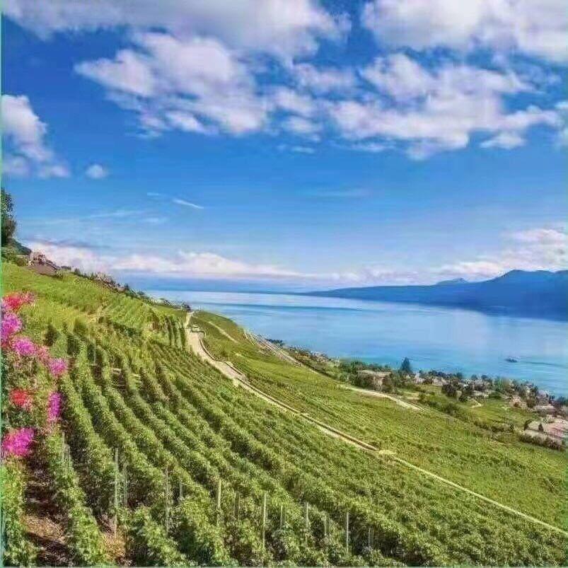 泰州爱养生的小姐姐