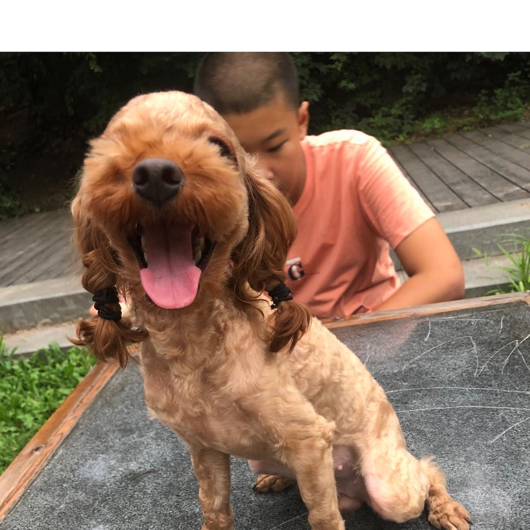 姥姥养宠经验分享