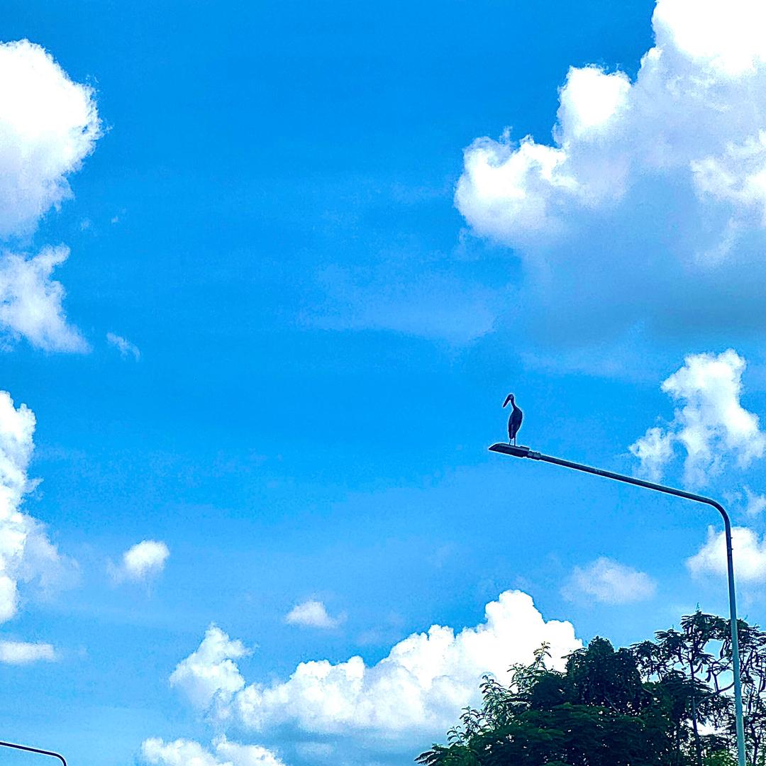 珂子在泰国🇹🇭