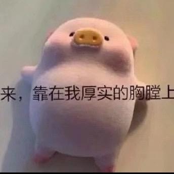 盐津桃肉