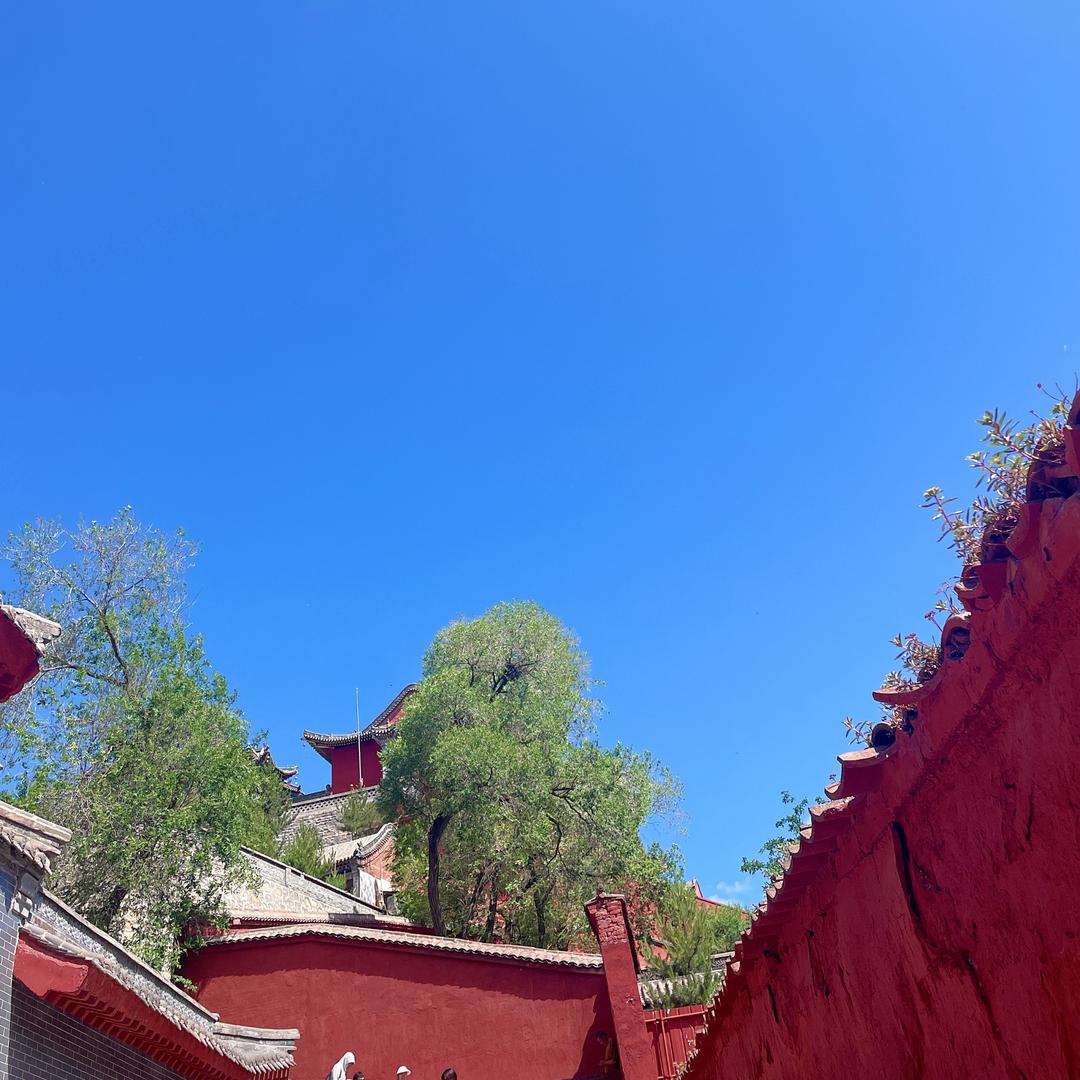 失忆7