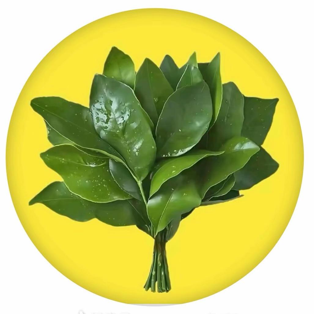 每天爆笑消烦员