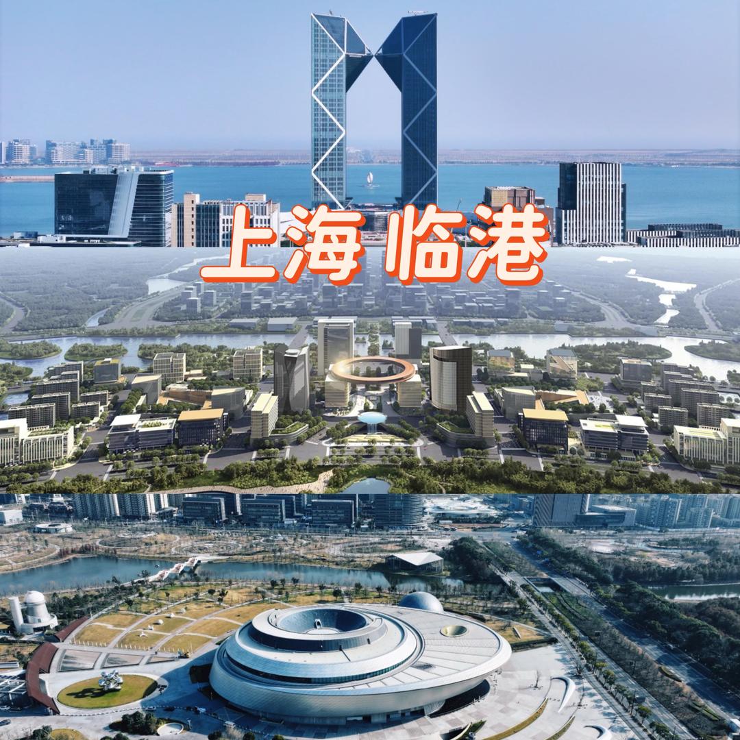 临港新房情报局🔎