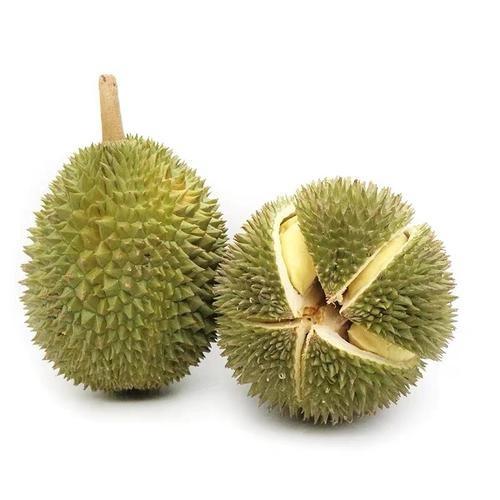 榴莲忘返32小时达
