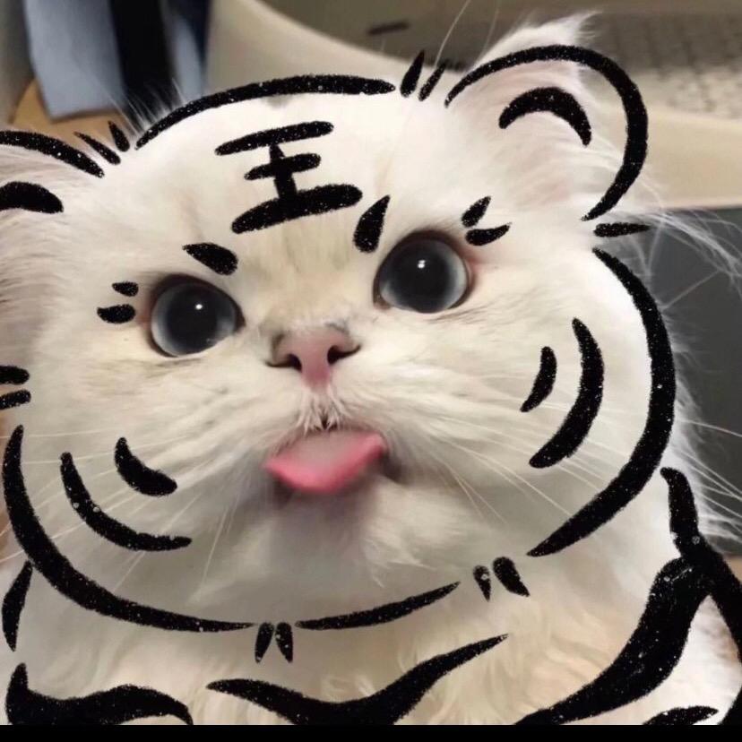 咕噜宠物驿站