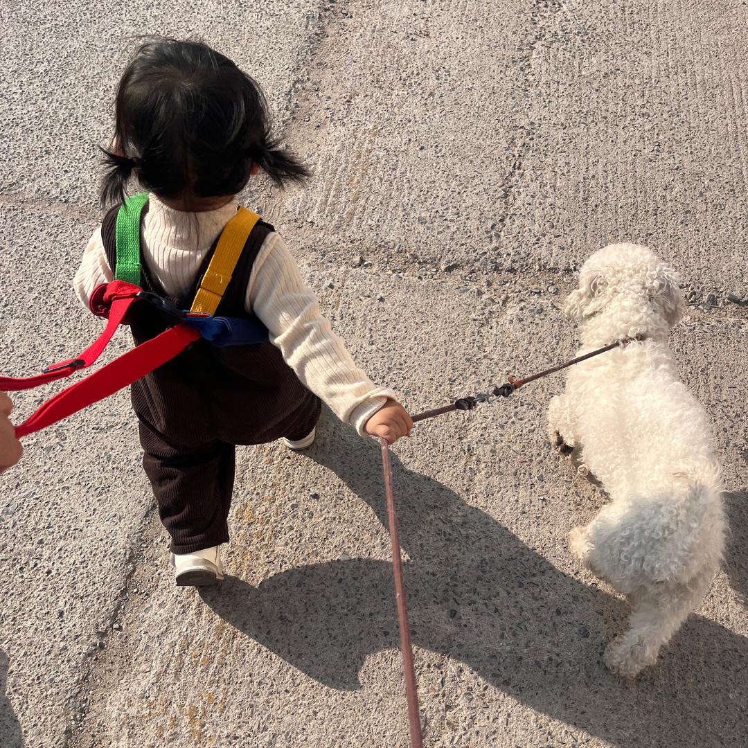 小小满🐾