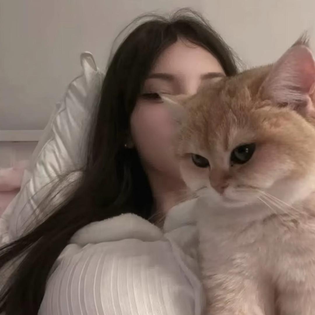 𝙃𝙖𝙫𝙖𝙣